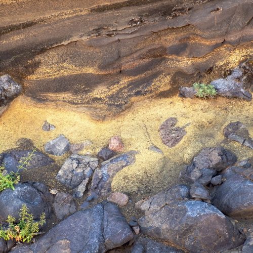 Arena_Tenerife Arena_Tenerife